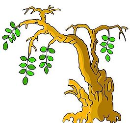 樹(shù)木古典插畫(huà)