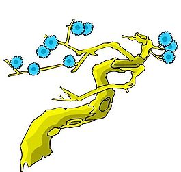 樹木古典插畫