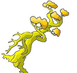 樹木古典插畫