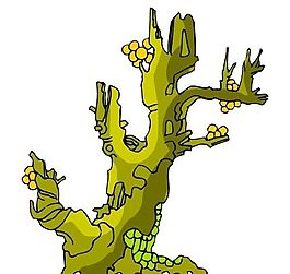 樹(shù)木古典插畫(huà)