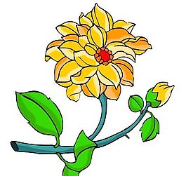 花卉古典插畫