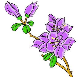 花卉古典插畫