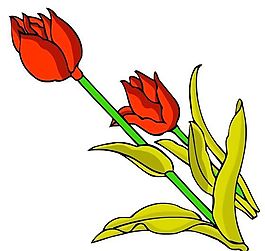 花卉古典插畫