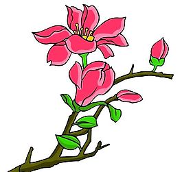 花卉古典插畫