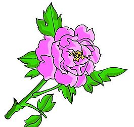 花卉古典插畫
