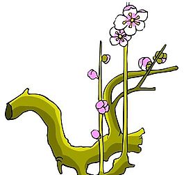 花卉古典插畫