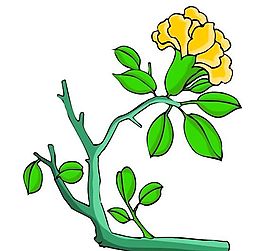 花卉古典插畫