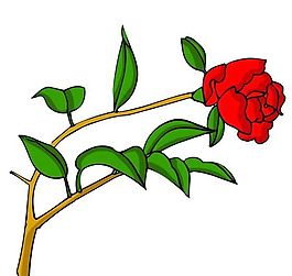 花卉古典插畫