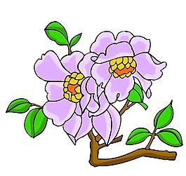 花卉古典插畫