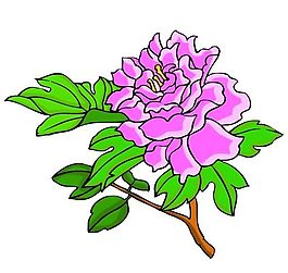 花卉古典插畫
