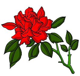 花卉古典插畫