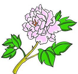 花卉古典插畫