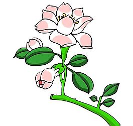 花卉古典插畫