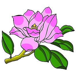花卉古典插畫