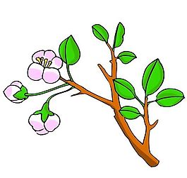 花卉古典插畫