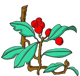 花卉古典插畫