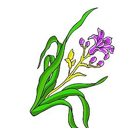 花卉古典插畫(huà)