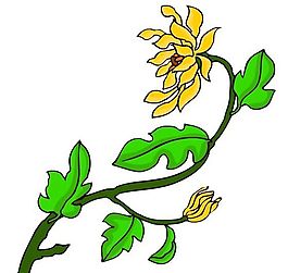 花卉古典插畫