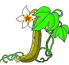 花卉古典插畫