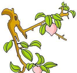 花卉古典插畫