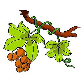 花卉古典插畫