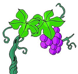 花卉古典插畫