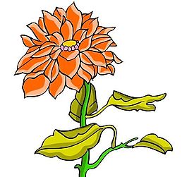 花卉古典插畫