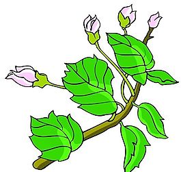 花卉古典插畫