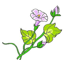 花卉古典插畫