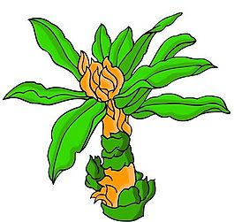 花卉古典插畫
