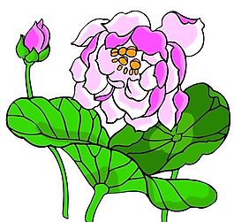 花卉古典插畫