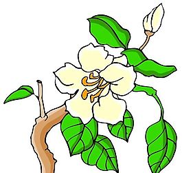 花卉古典插畫
