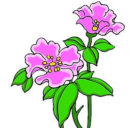 花卉古典插畫