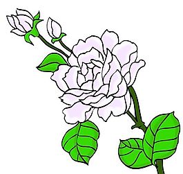 花卉古典插畫