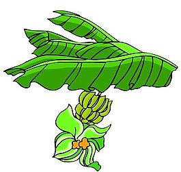 花卉古典插畫