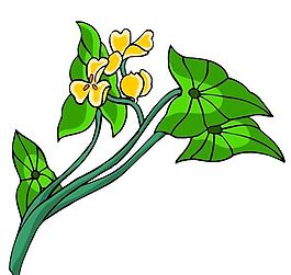 花卉古典插畫