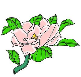 花卉古典插畫