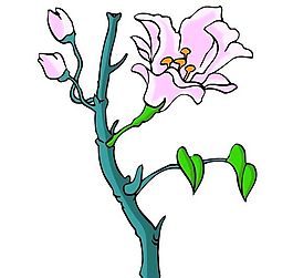 花卉古典插畫(huà)