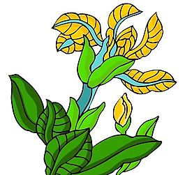 花卉古典插畫(huà)