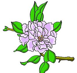 花卉古典插畫