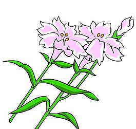 花卉古典插畫