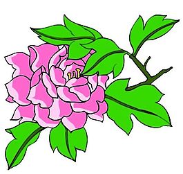 花卉古典插畫(huà)