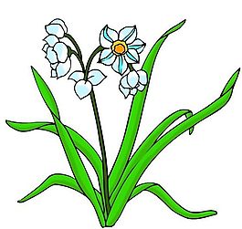 花卉古典插畫(huà)
