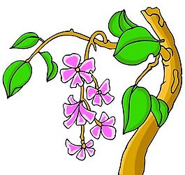 花卉古典插畫