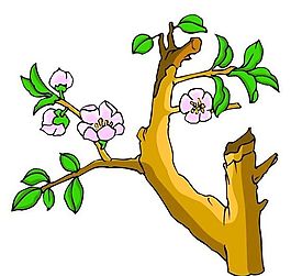 花卉古典插畫(huà)