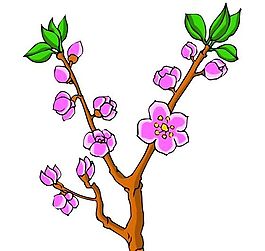 花卉古典插畫
