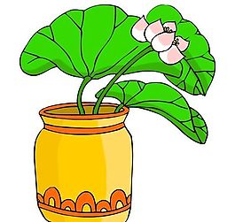 花卉古典插畫(huà)