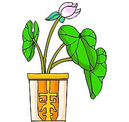 花卉古典插畫(huà)
