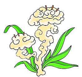 花卉古典插畫