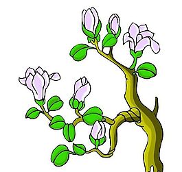 花卉古典插畫